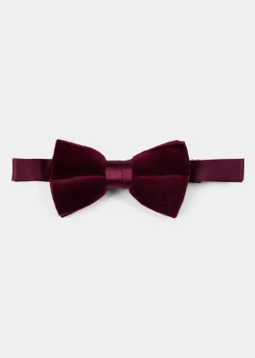 Purple Velvet Bow Tie